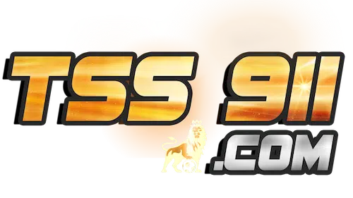 tss911-logo